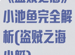 《盗贼之海》小池鱼完全解析(盗贼之海小艇)