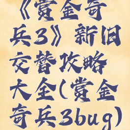 《赏金奇兵3》新旧交替攻略大全(赏金奇兵3bug)