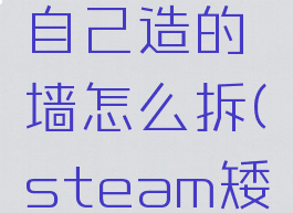 矮人要塞自己造的墙怎么拆(steam矮人要塞)