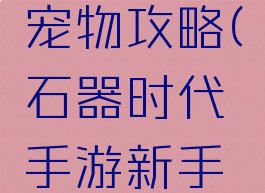 石器时代手游新手宠物攻略(石器时代手游新手宠物攻略图)