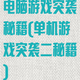 电脑游戏突袭秘籍(单机游戏突袭二秘籍)