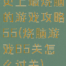 史上最烧脑的游戏攻略55(烧脑游戏65关怎么过关)