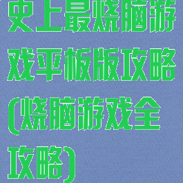 史上最烧脑游戏平板版攻略(烧脑游戏全攻略)