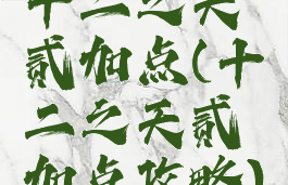 十二之天贰加点(十二之天贰加点攻略)