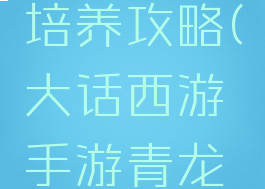 大话西游手游青龙培养攻略(大话西游手游青龙培养攻略大全)