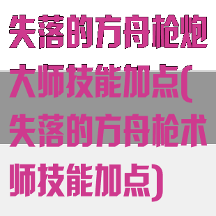 失落的方舟枪炮大师技能加点(失落的方舟枪术师技能加点)