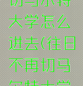 往日不再切马尔特大学怎么进去(往日不再切马尔特大学检查站)