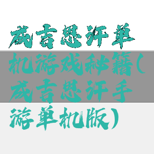 成吉思汗单机游戏秘籍(成吉思汗手游单机版)