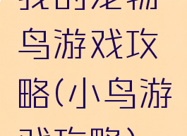 我的宠物鸟游戏攻略(小鸟游戏攻略)