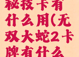 无双大蛇2秘技卡有什么用(无双大蛇2卡牌有什么用)