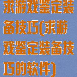 求游戏鉴定装备技巧(求游戏鉴定装备技巧的软件)