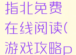 游戏攻略指北免费在线阅读(游戏攻略pdf)