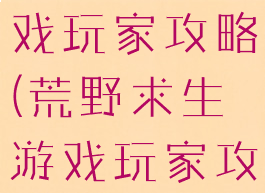 荒野求生游戏玩家攻略(荒野求生游戏玩家攻略视频)