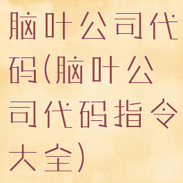 脑叶公司代码(脑叶公司代码指令大全)