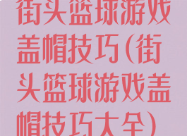 街头篮球游戏盖帽技巧(街头篮球游戏盖帽技巧大全)