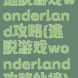 逃脱游戏wonderland攻略(逃脱游戏wonderland攻略仙境)