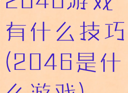 2046游戏有什么技巧(2046是什么游戏)