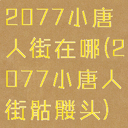 2077小唐人街在哪(2077小唐人街骷髅头)