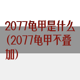 2077龟甲是什么(2077龟甲不叠加)