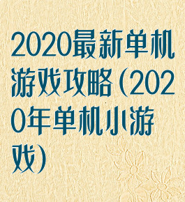 2020最新单机游戏攻略(2020年单机小游戏)