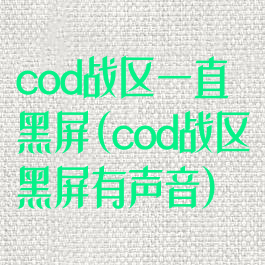 cod战区一直黑屏(cod战区黑屏有声音)