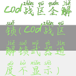 cod战区全解锁(cod战区解锁武器进度不显示)