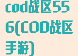 cod战区556(COD战区手游)