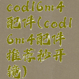 cod16m4配件(cod16m4配件推荐秒开镜)