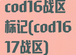 cod16战区标记(cod1617战区)