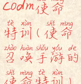 codm使命特训(使命召唤手游的使命特训)