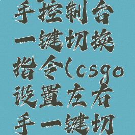 csgo左右手控制台一键切换指令(csgo设置左右手一键切换)