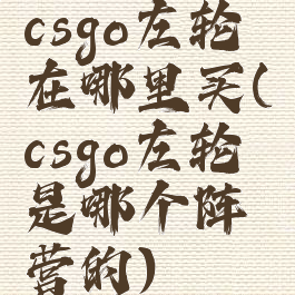 csgo左轮在哪里买(csgo左轮是哪个阵营的)