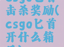 csgo匕首击杀奖励(csgo匕首开什么箱子)