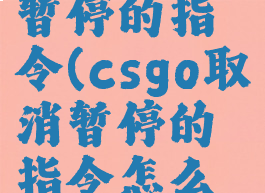 csgo取消暂停的指令(csgo取消暂停的指令怎么用)