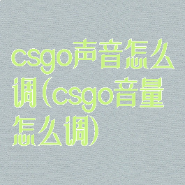 csgo声音怎么调(csgo音量怎么调)