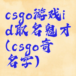 csgo游戏id取名鬼才(csgo奇葩名字)