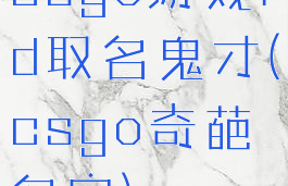 csgo游戏id取名鬼才(csgo奇葩名字)