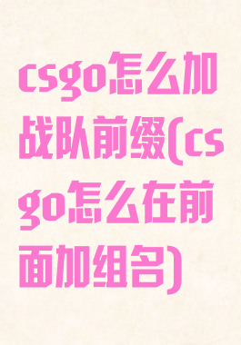 csgo怎么加战队前缀(csgo怎么在前面加组名)