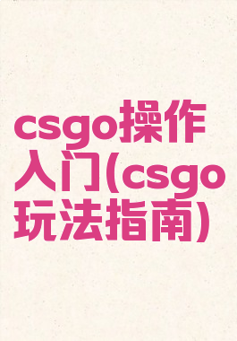 csgo操作入门(csgo玩法指南)