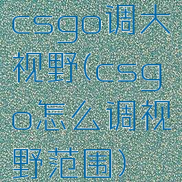 csgo调大视野(csgo怎么调视野范围)