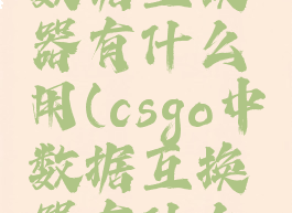 csgo里的数据互换器有什么用(csgo中数据互换器有什么用)