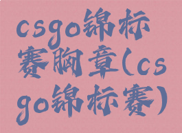 csgo锦标赛胸章(csgo锦标赛)