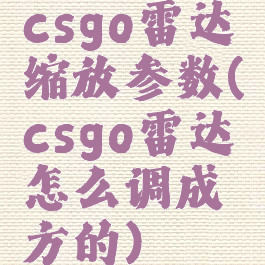 csgo雷达缩放参数(csgo雷达怎么调成方的)