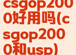 csgop2000好用吗(csgop2000和usp)