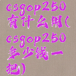 csgop250有什么用(csgop250多少钱一把)