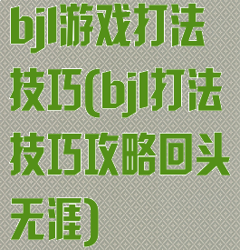 bjl游戏打法技巧(bjl打法技巧攻略回头无涯)