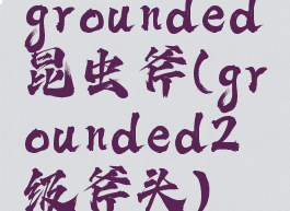 grounded昆虫斧(grounded2级斧头)