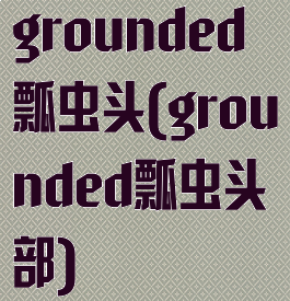 grounded瓢虫头(grounded瓢虫头部)