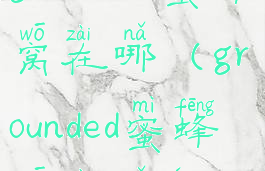 grounded蜜蜂窝在哪(grounded蜜蜂窝在哪儿)