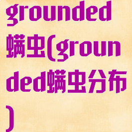 grounded螨虫(grounded螨虫分布)